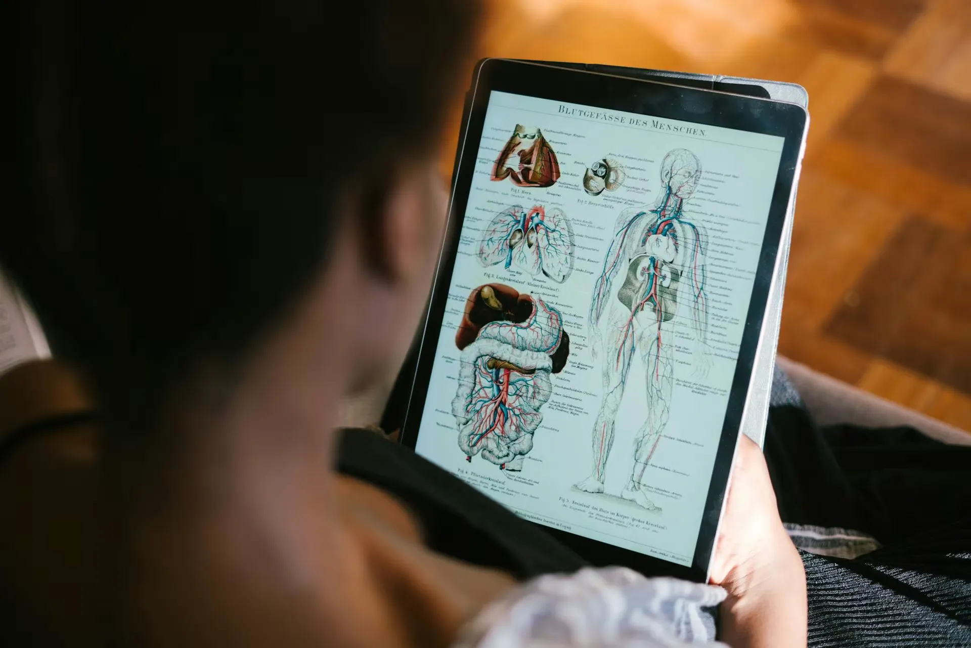 Student studing anatomy diagram on tablet