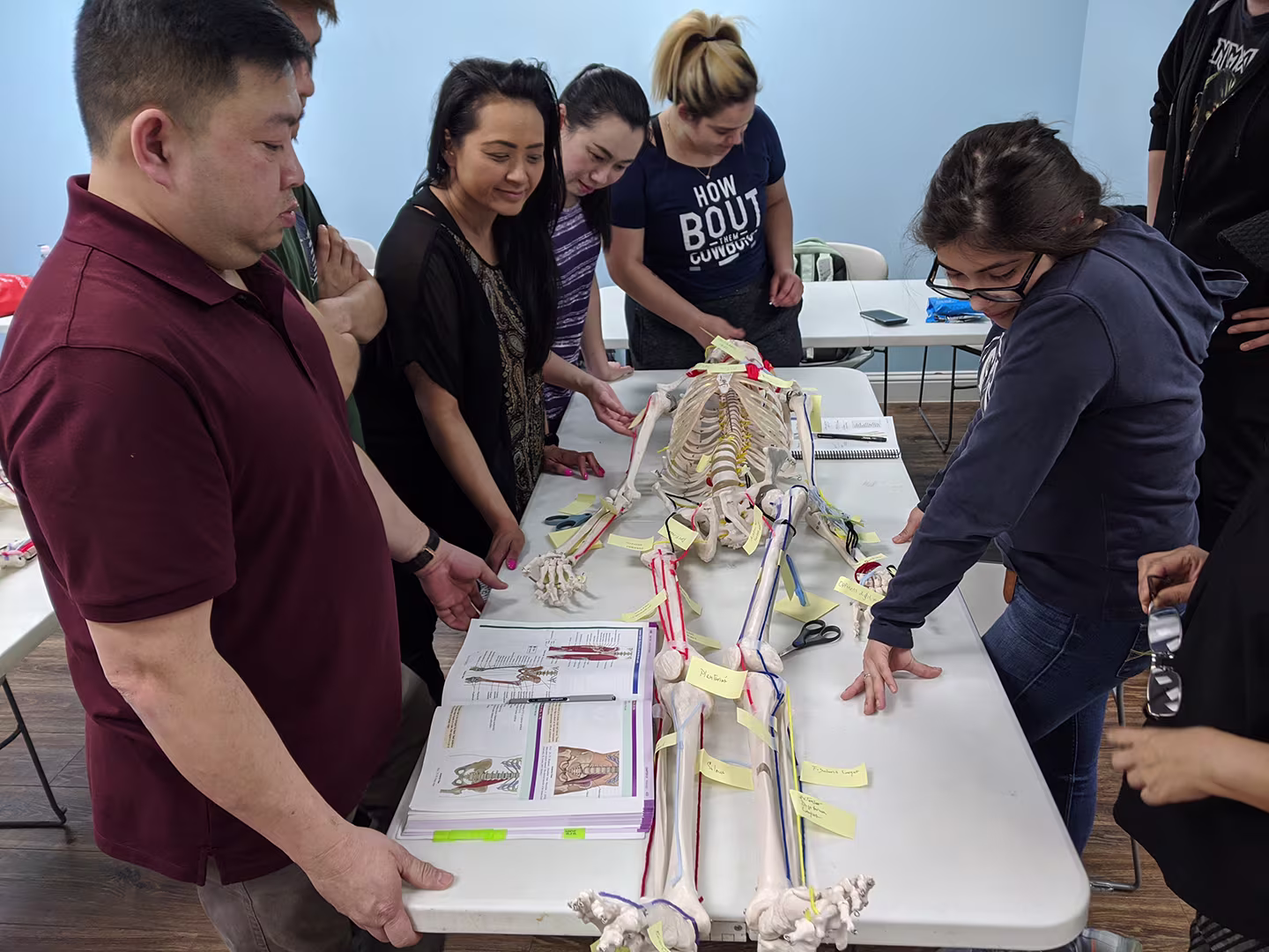 Students inspecting and annotating a skeletal figure